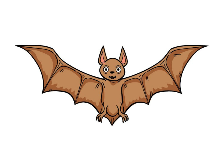 How-to-draw-Bat-9